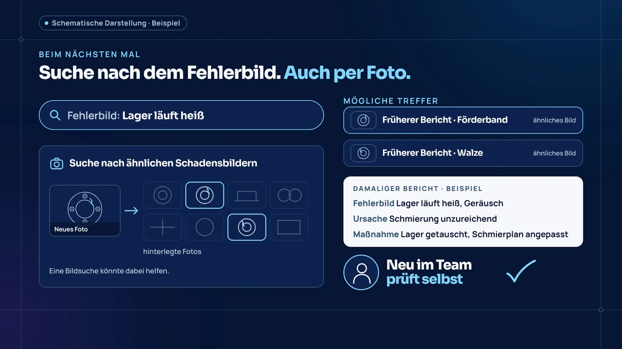 Szene aus dem Erklärvideo: Suche nach dem Fehlerbild mit möglichen Treffern, Beispieldaten